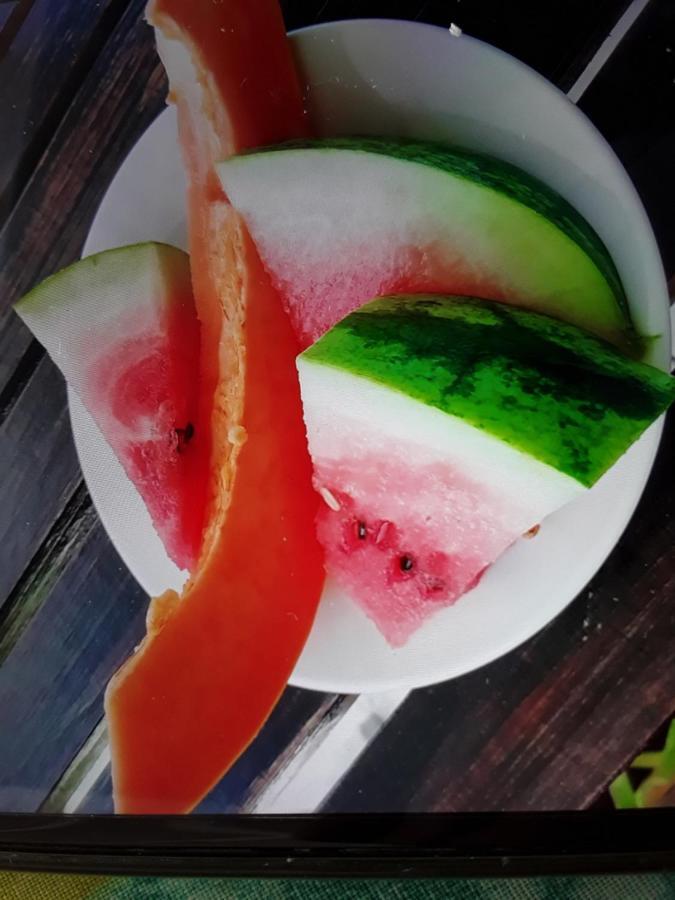 埃斯波尔公寓 卡斯特里 外观 照片